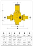 RIDUTTORI DI PRESSIONE C/M 1'